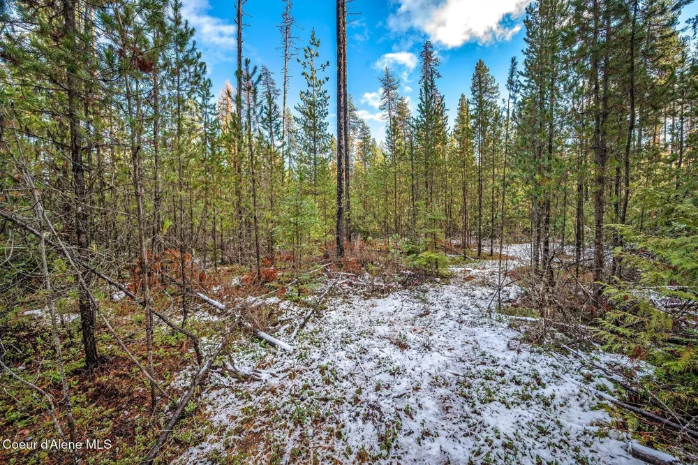 Lot 3 10.32 Acre Reeder Bay Road Nordman, ID 83848