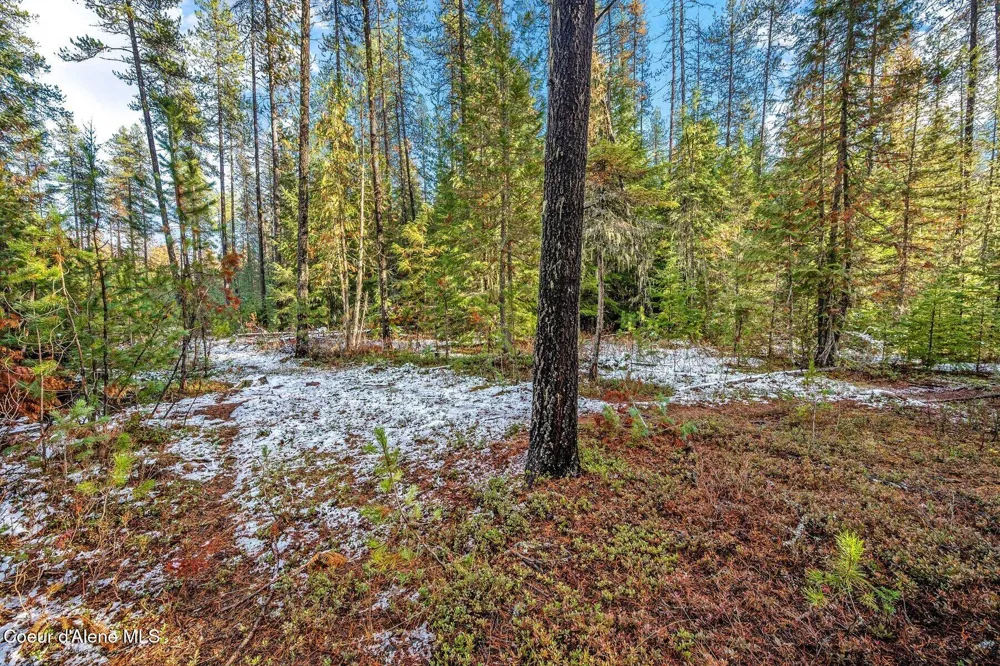 Lot 3 10.32 Acre Reeder Bay Road Nordman, ID 83848