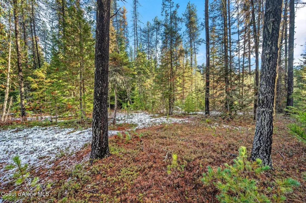 Lot 3 10.32 Acre Reeder Bay Road Nordman, ID 83848