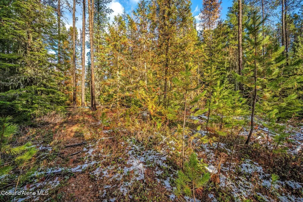 Lot 3 10.32 Acre Reeder Bay Road Nordman, ID 83848
