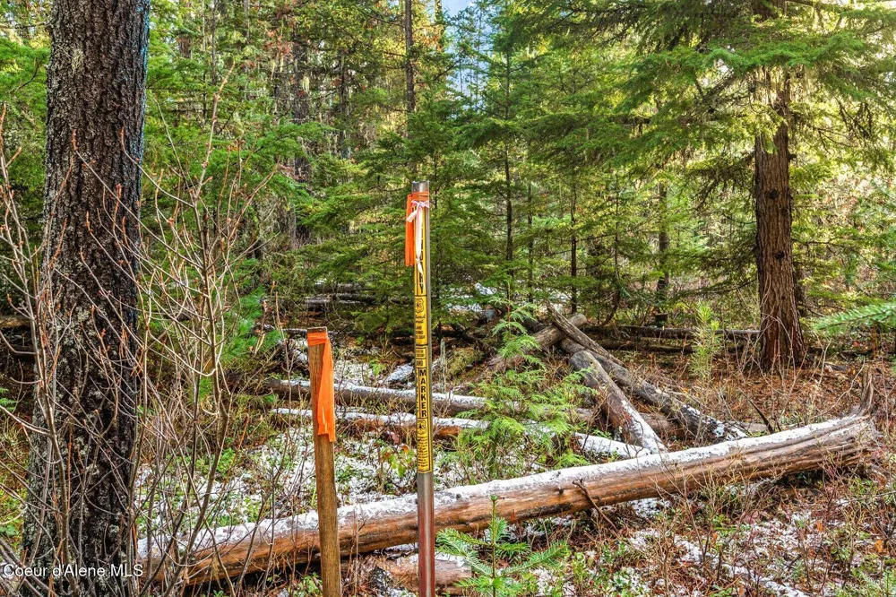 Lot 3 10.32 Acre Reeder Bay Road Nordman, ID 83848