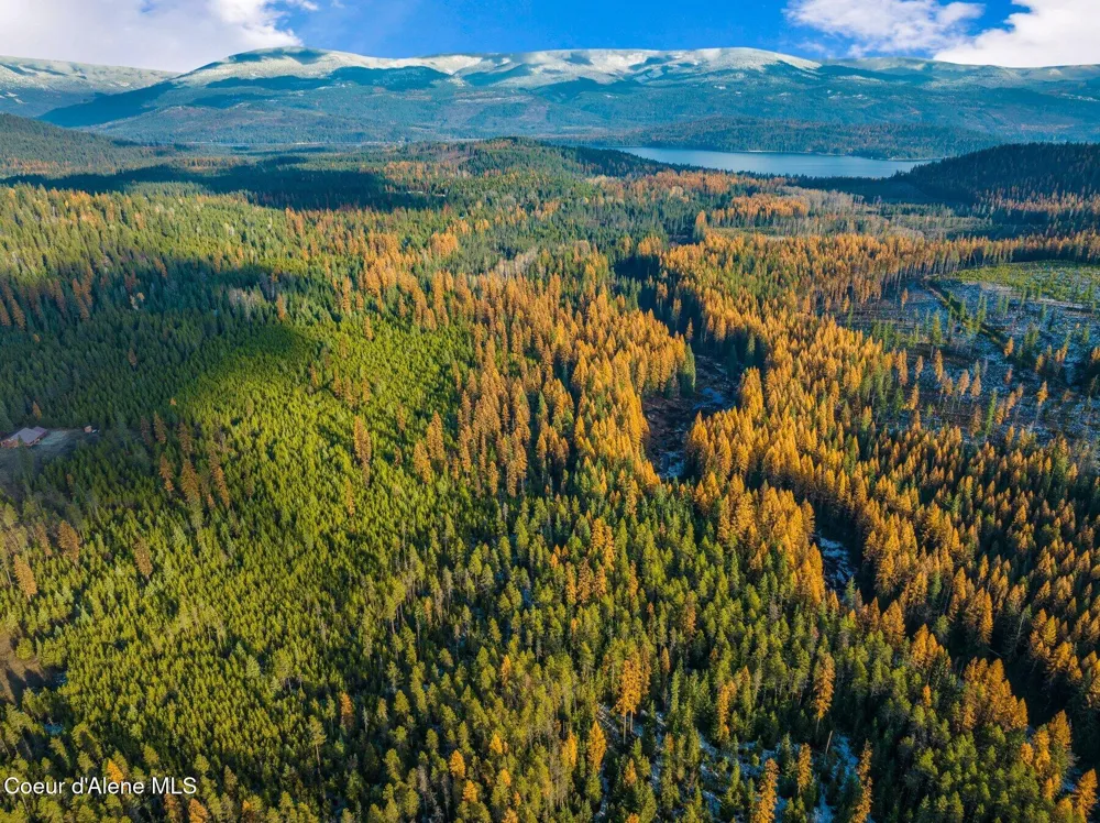 Lot 3 10.32 Acre Reeder Bay Road Nordman, ID 83848
