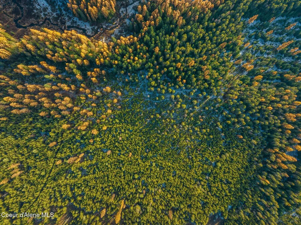 Lot 3 10.32 Acre Reeder Bay Road Nordman, ID 83848