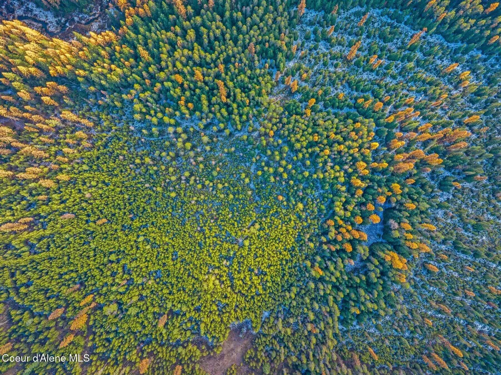 Lot 3 10.32 Acre Reeder Bay Road Nordman, ID 83848