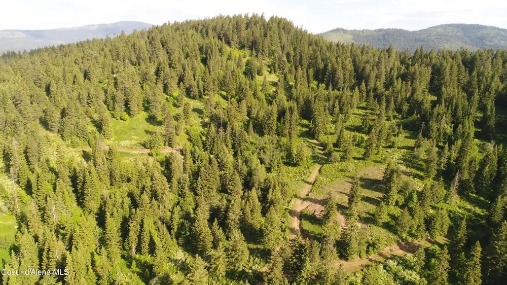 17442 S Painted Rose Road Worley, ID 83876