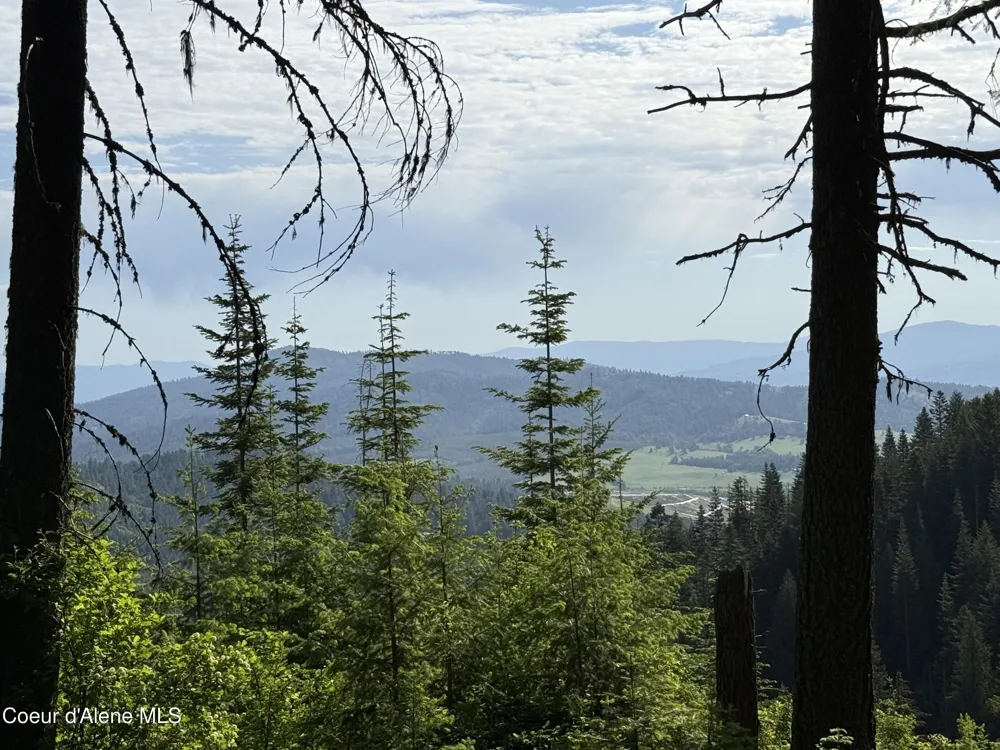 17442 S Painted Rose Road Worley, ID 83876