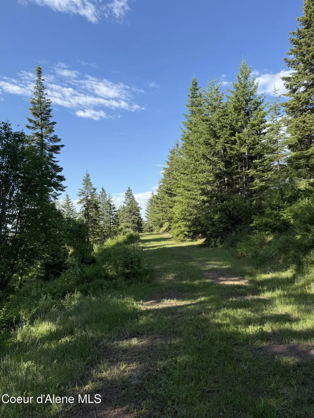 17442 S Painted Rose Road Worley, ID 83876