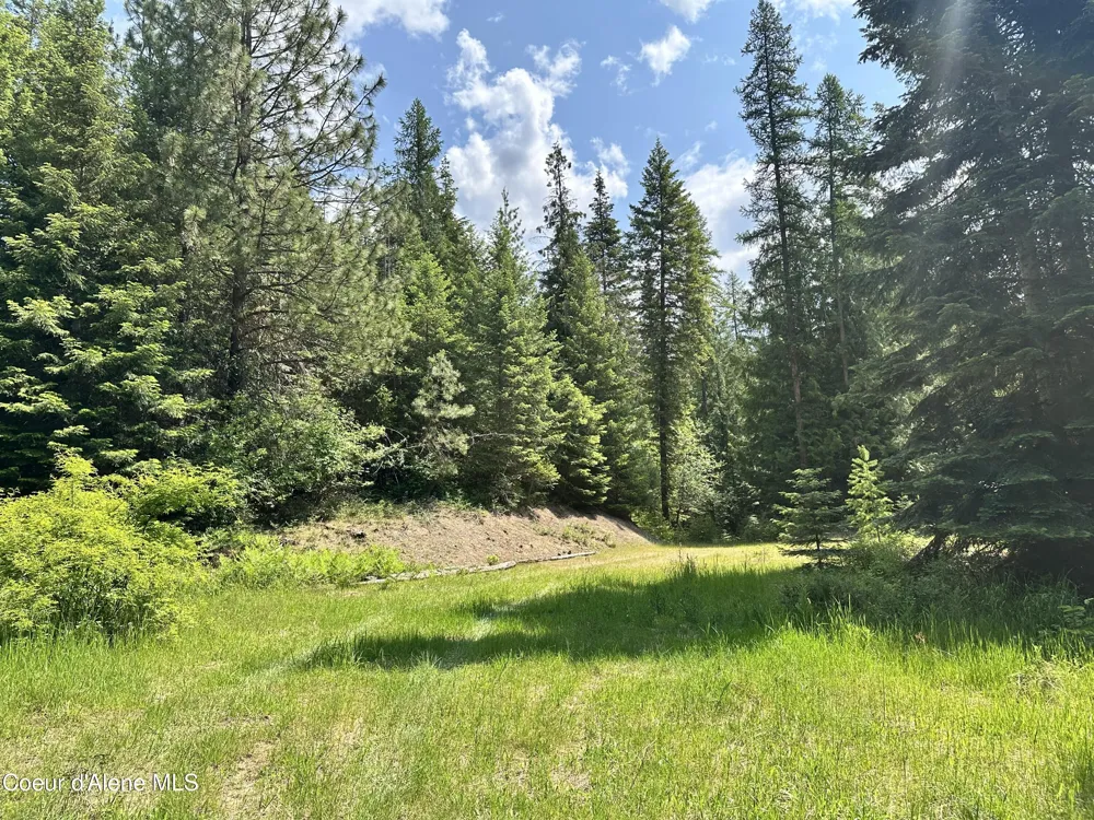 3232 Hells Gulch Road St. Maries, ID 83861