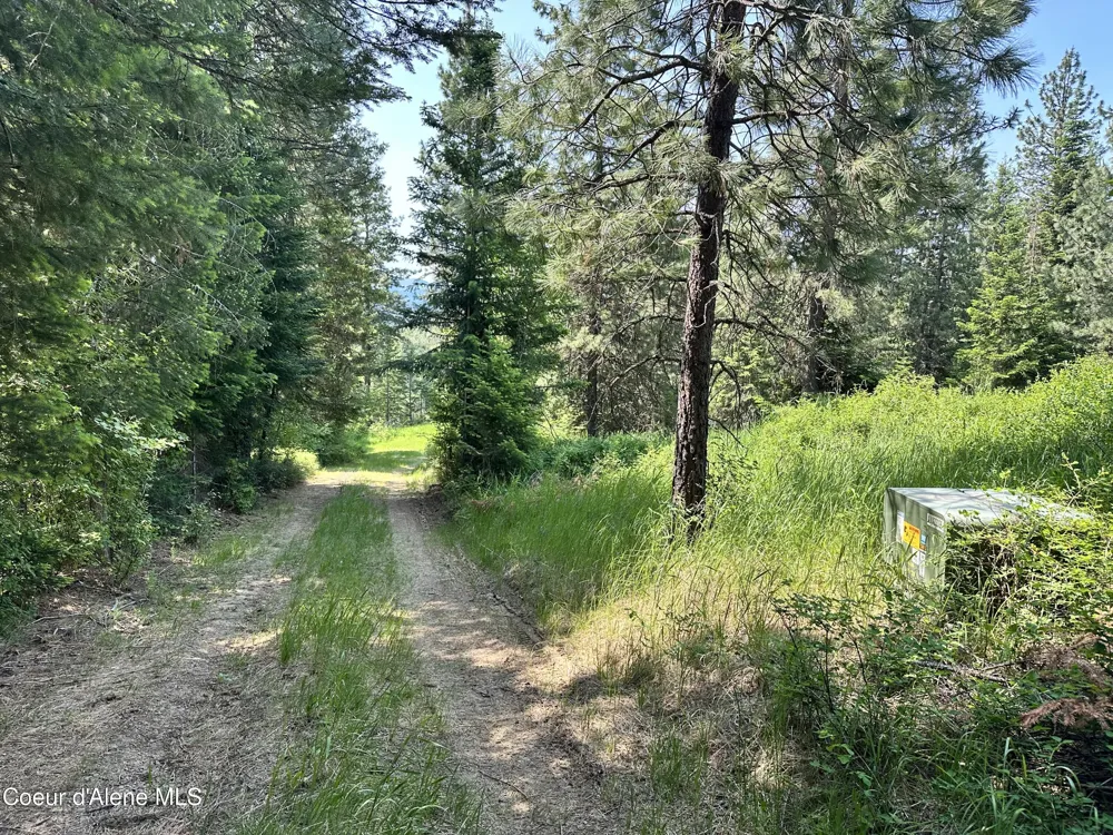 3232 Hells Gulch Road St. Maries, ID 83861