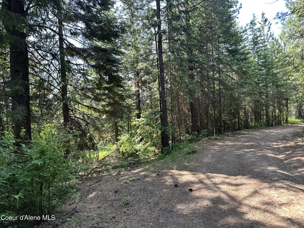 3232 Hells Gulch Road St. Maries, ID 83861