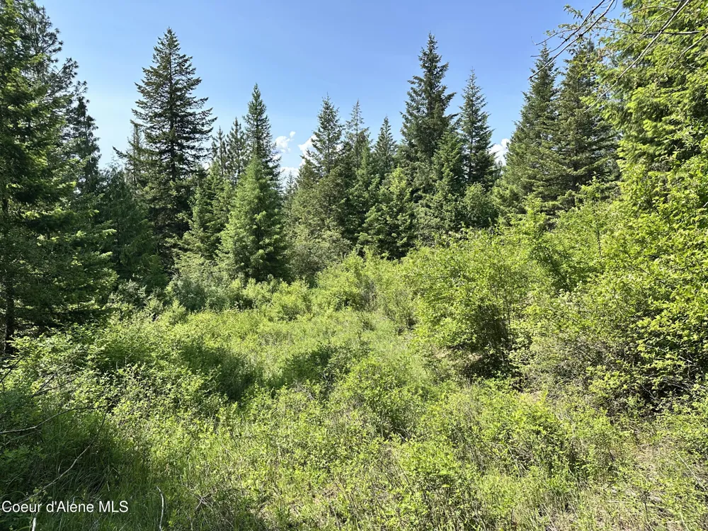 3232 Hells Gulch Road St. Maries, ID 83861