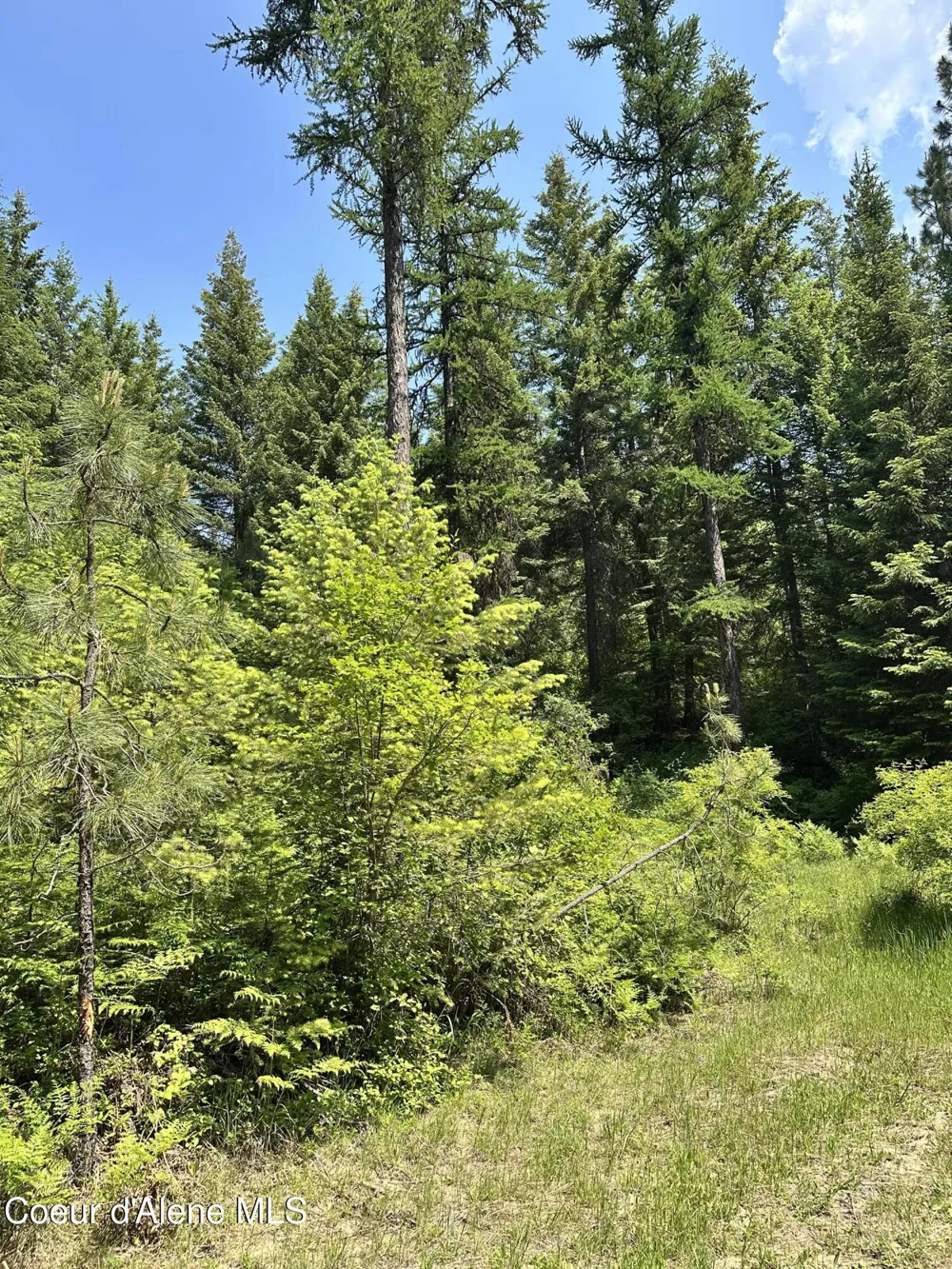 3232 Hells Gulch Road St. Maries, ID 83861