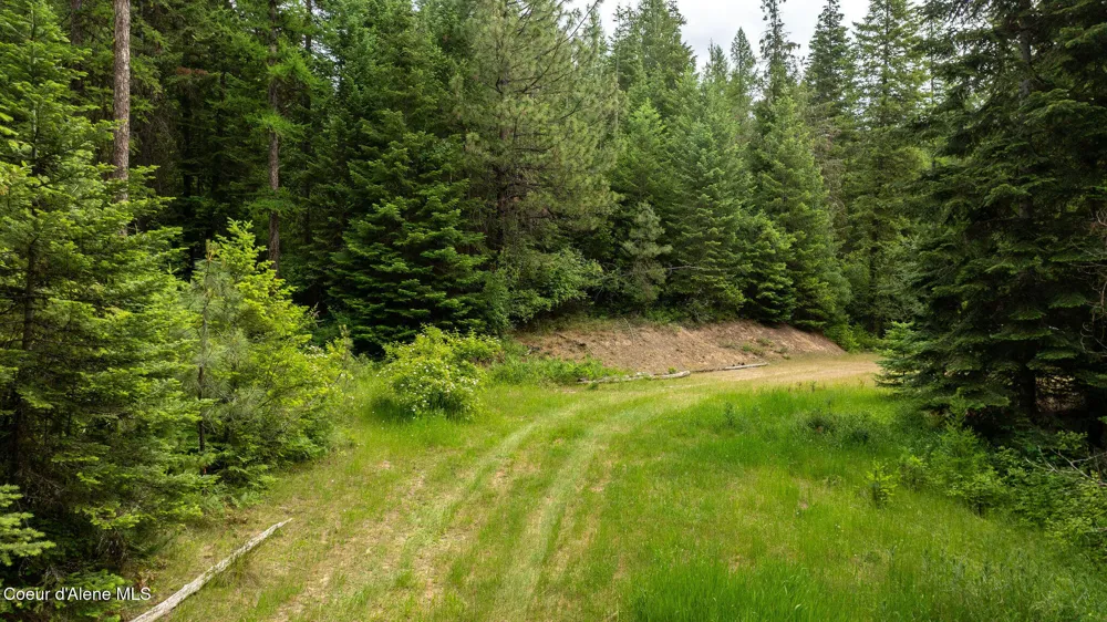 3232 Hells Gulch Road St. Maries, ID 83861