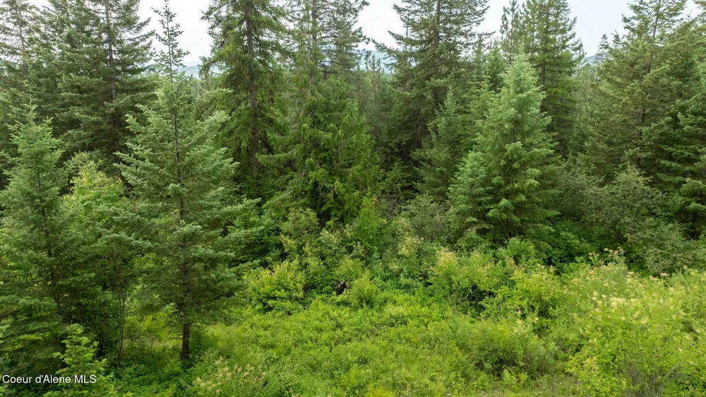 3232 Hells Gulch Road St. Maries, ID 83861