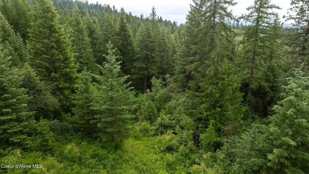 3232 Hells Gulch Road St. Maries, ID 83861