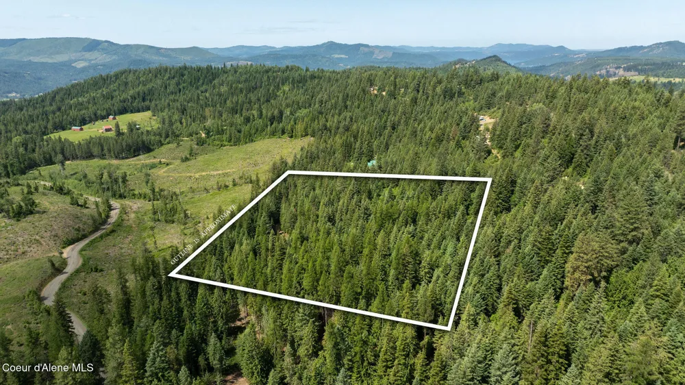 3232 Hells Gulch Road St. Maries, ID 83861
