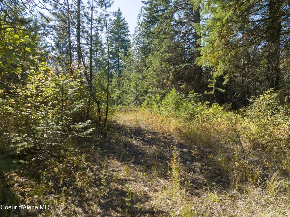 Blk1 Lot3 W Grayeagle Rd Rathdrum, ID 83858