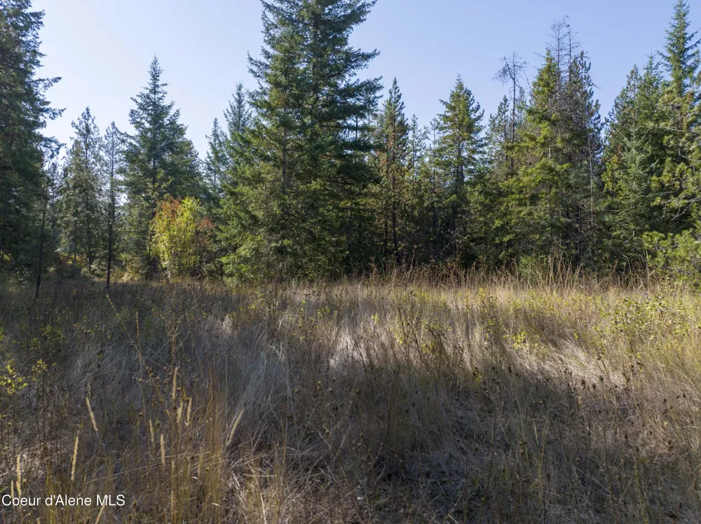 Blk1 Lot3 W Grayeagle Rd Rathdrum, ID 83858