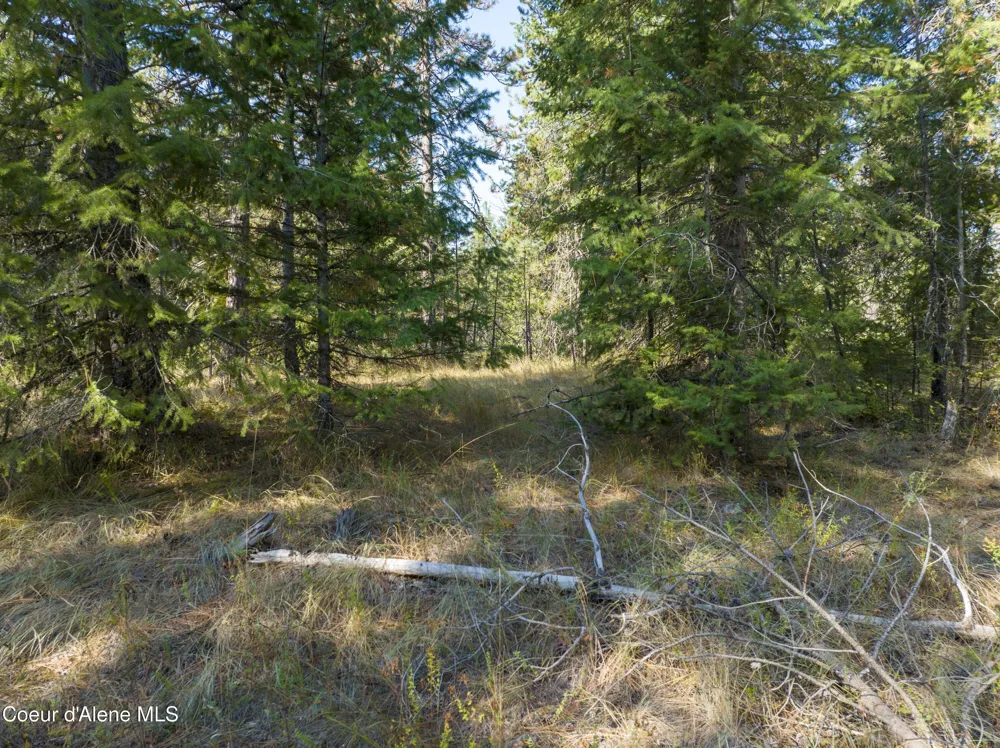 Blk1 Lot3 W Grayeagle Rd Rathdrum, ID 83858