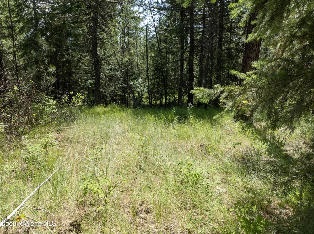 Blk1 Lot3 W Grayeagle Rd Rathdrum, ID 83858