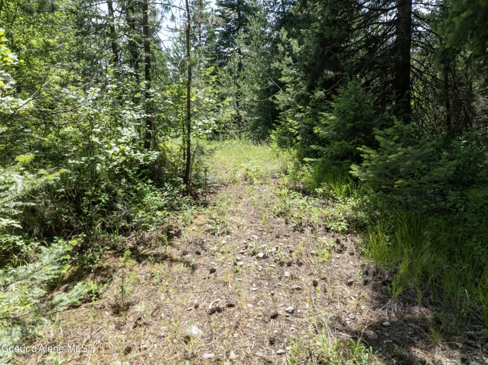 Blk1 Lot3 W Grayeagle Rd Rathdrum, ID 83858