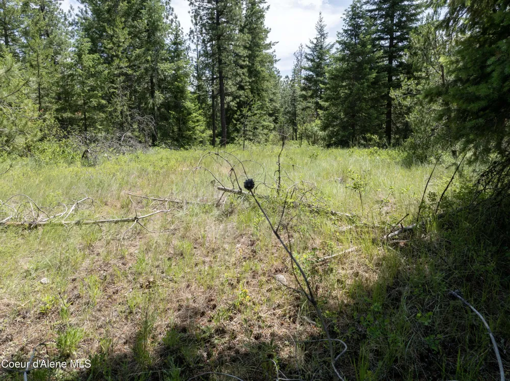 Blk1 Lot3 W Grayeagle Rd Rathdrum, ID 83858