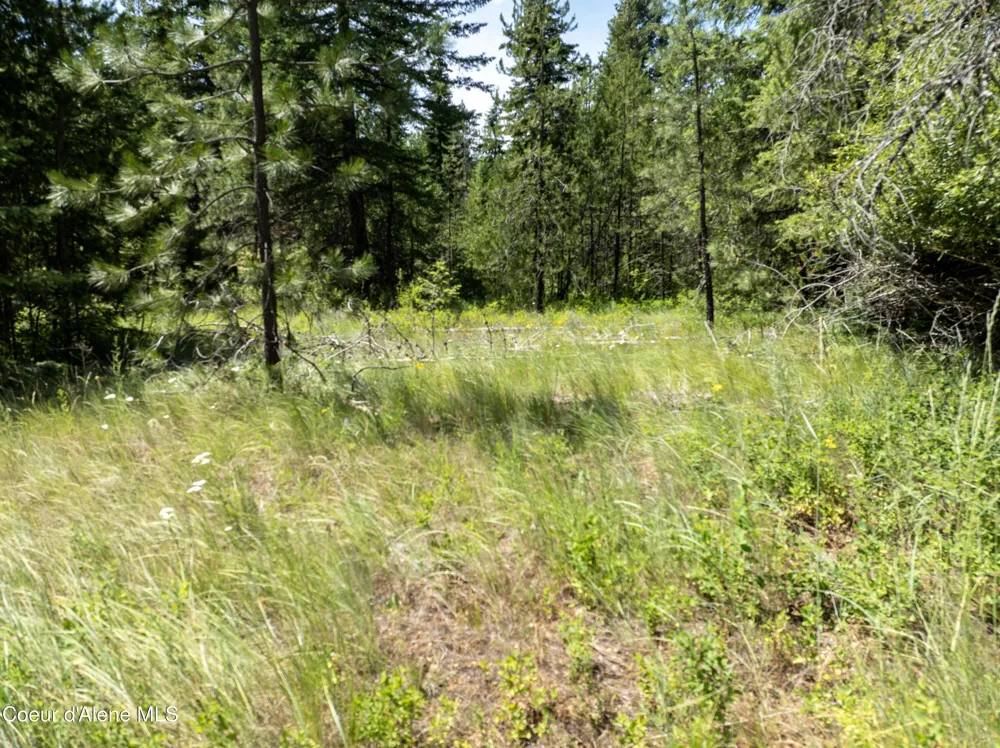 Blk1 Lot3 W Grayeagle Rd Rathdrum, ID 83858