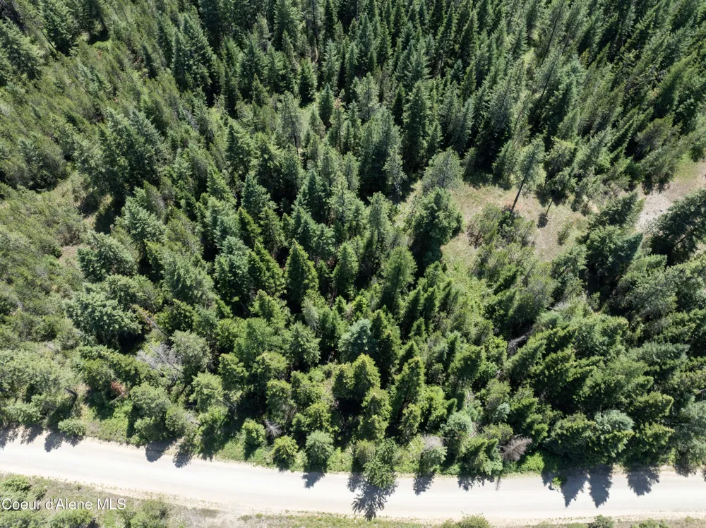 Blk1 Lot2 W Grayeagle Road Rathdrum, ID 83858