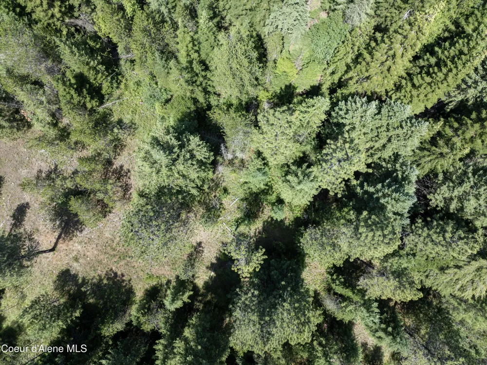 Blk1 Lot2 W Grayeagle Road Rathdrum, ID 83858