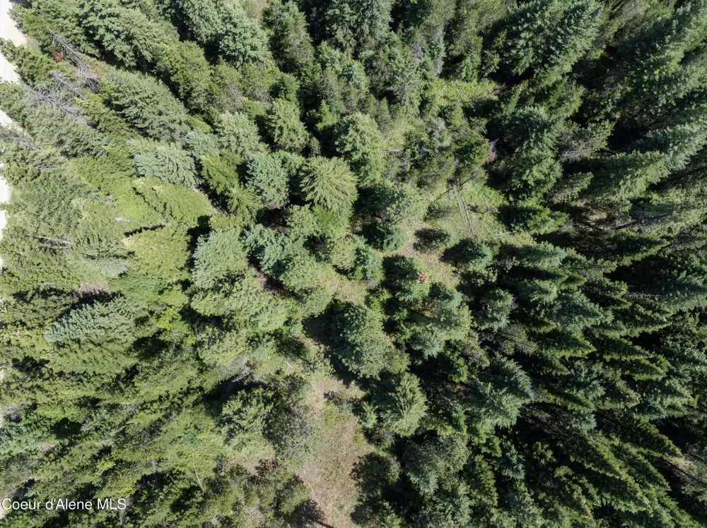 Blk1 Lot2 W Grayeagle Road Rathdrum, ID 83858