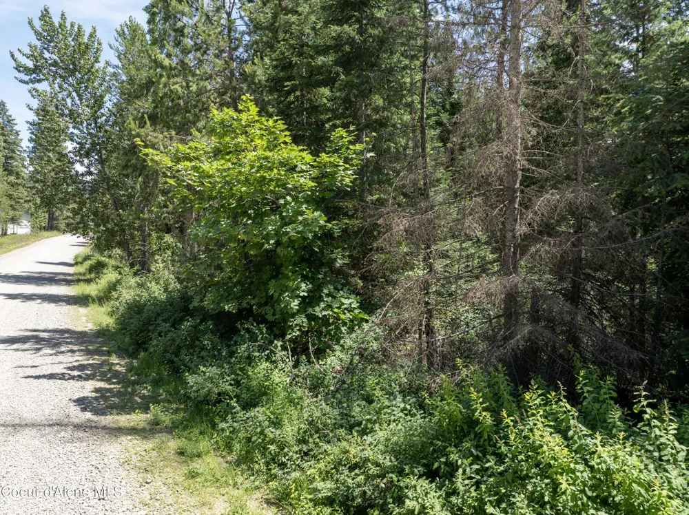 Blk1 Lot2 W Grayeagle Road Rathdrum, ID 83858
