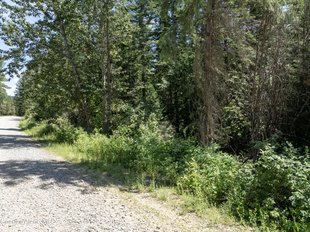 Blk1 Lot2 W Grayeagle Road Rathdrum, ID 83858