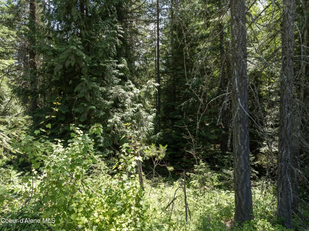 Blk1 Lot2 W Grayeagle Road Rathdrum, ID 83858