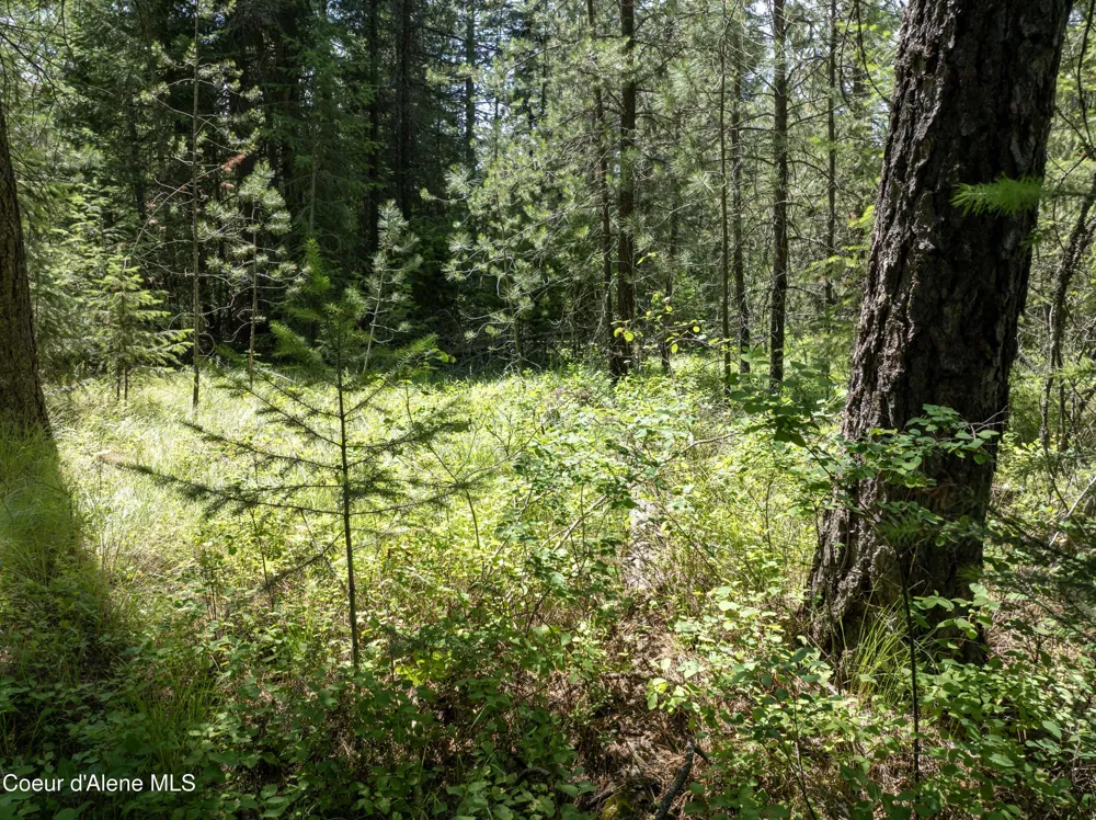 Blk1 Lot2 W Grayeagle Road Rathdrum, ID 83858