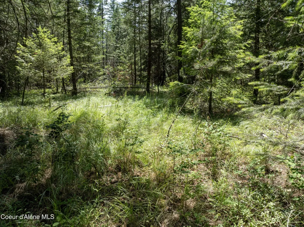 Blk1 Lot2 W Grayeagle Road Rathdrum, ID 83858