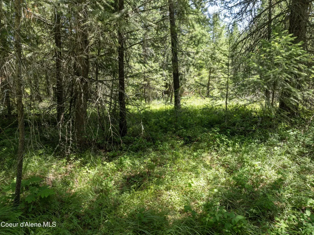 Blk1 Lot2 W Grayeagle Road Rathdrum, ID 83858