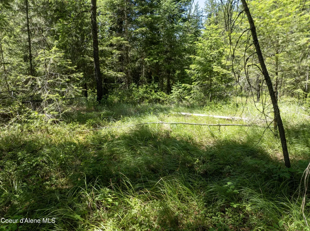 Blk1 Lot2 W Grayeagle Road Rathdrum, ID 83858