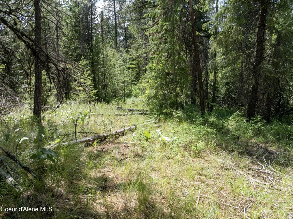 Blk1 Lot2 W Grayeagle Road Rathdrum, ID 83858