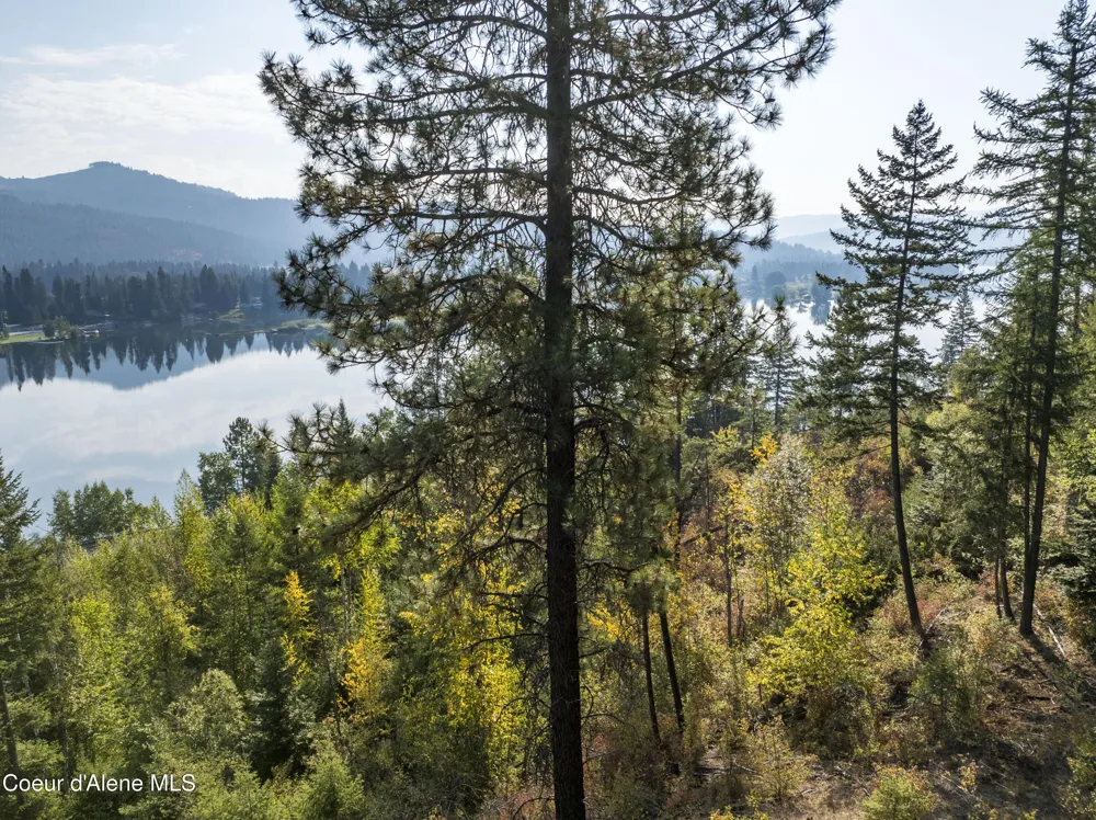 Lot 1 Braden Estates Priest River, ID 83856
