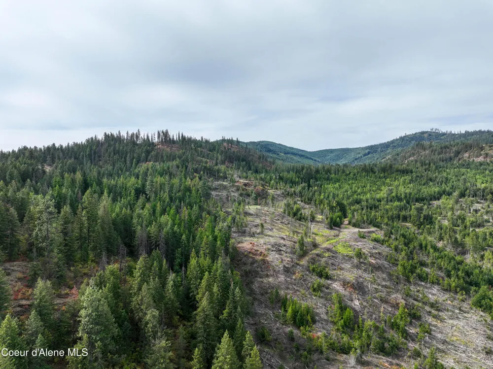 Lot 1 Braden Estates Priest River, ID 83856