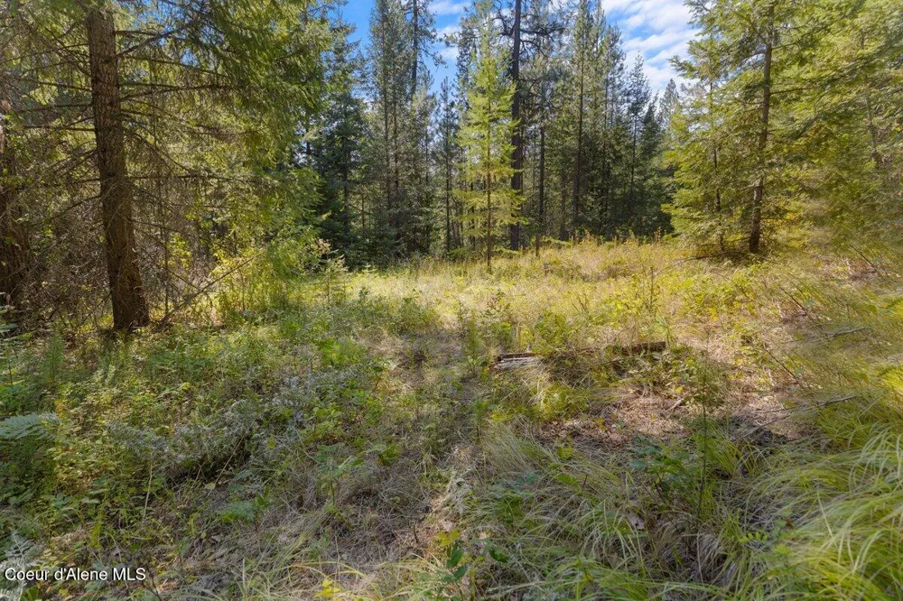 NNA Granite Ridge Rd Priest River, ID 83856