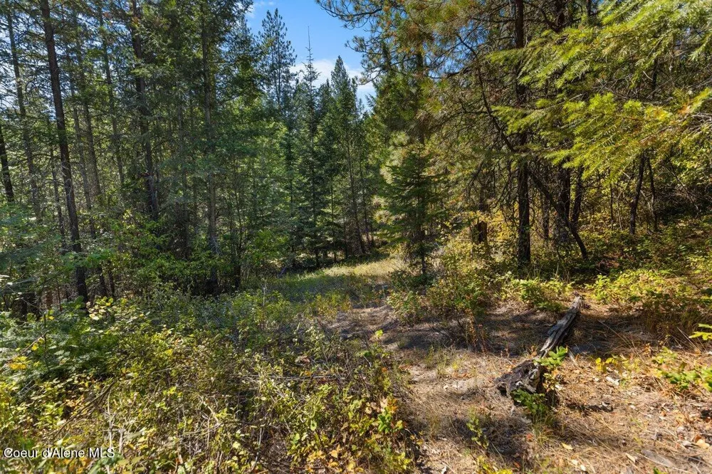 NNA Granite Ridge Rd Priest River, ID 83856