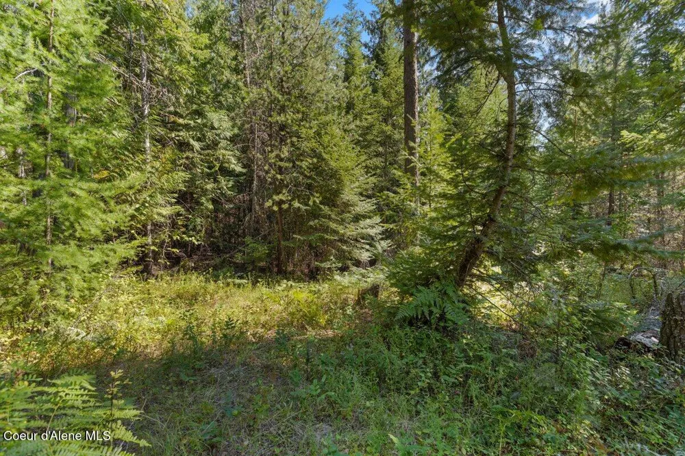 NNA Granite Ridge Rd Priest River, ID 83856