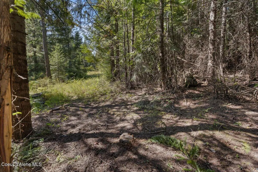 NNA Granite Ridge Rd Priest River, ID 83856