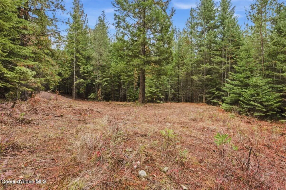 NNA Granite Ridge Rd Priest River, ID 83856