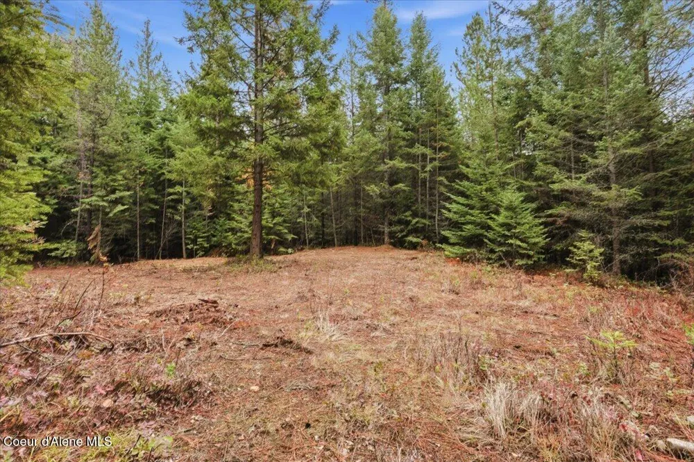 NNA Granite Ridge Rd Priest River, ID 83856