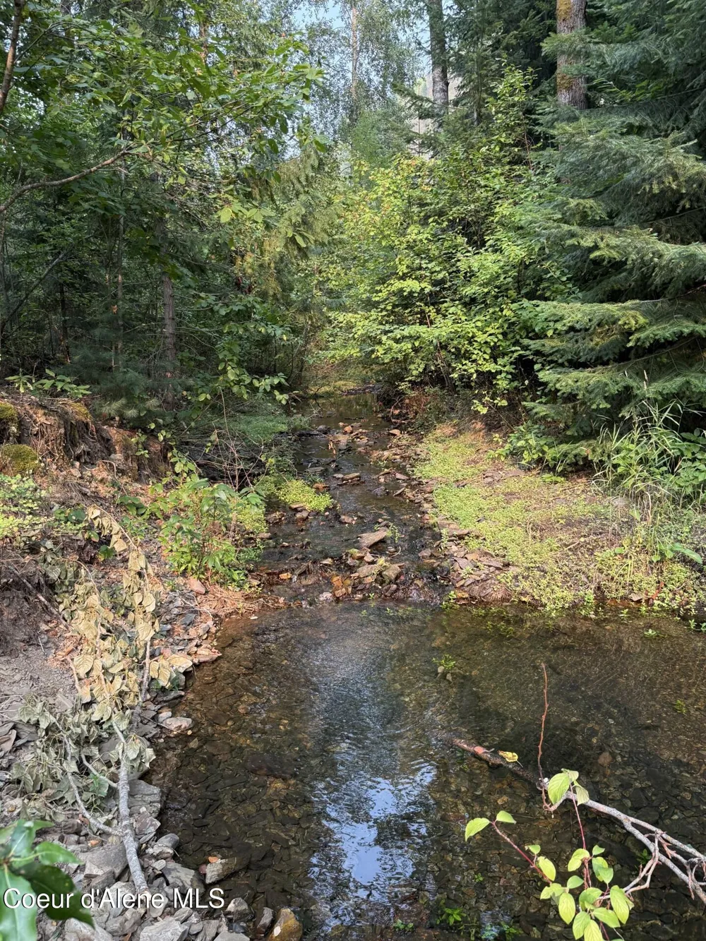 1247 MONTGOMERY GULCH ROAD Kellogg, ID 83837