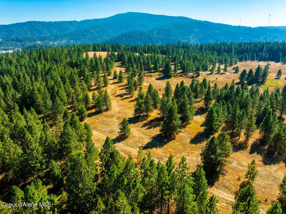 5727 S ODELIN LANE Harrison, ID 83833