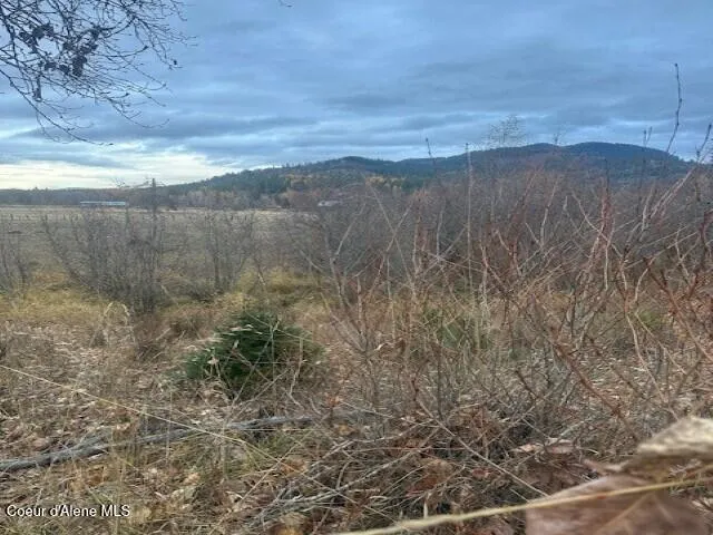 NNA (8550) Eastside Rd. Priest River, ID 83856