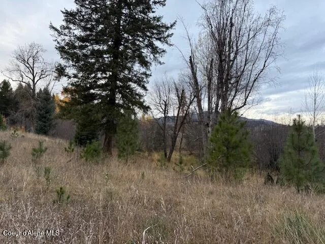 NNA (8550) Eastside Rd. Priest River, ID 83856